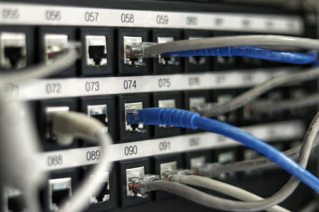 A network patch panel with ethernet cables terminated and dressed